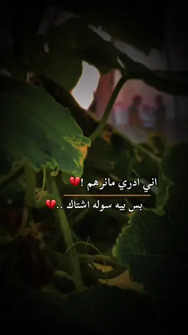 ادري مانرهم بس بيه سوله اشتاك ..😔#تصويري📷 #تصويري_احترافي_الاجواء👌🏻🕊😴 #حيدر_العابدي #عباراتكم🥀 #تصوير_ايفون #المصمم_حسوني🚸🔕 #تصميم_فيديوهات🎶🎤🎬 #عبارات_حزينه💔 