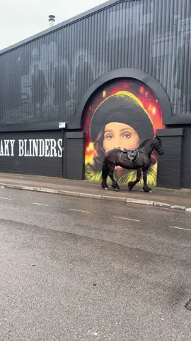 #viphorses #peakyblinders #digbeth #birmingham #uk #fyp 