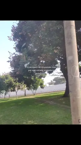 #sorry#justin#frases#forever #fyp #viral #contenido #paraestados #parati #mentepositiva #boy #vibra #grils #factos #musiquita @TikTok 