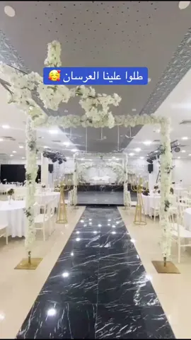 طلوا علينا العرسان ❤️❤️❤️#حفلات_فلسطينية #ستوديو_فرح #شعبيات #تراث #دبكة_شعبية #عتابا #زفاف #دبكة_شعبية_فلسطينية #زفة_العرسان #حنا #حفلات #عريس #ترثنا_فخرنا #دلعونا #يرغول #زريف_الطول #زفة #دحيه #دبكة 