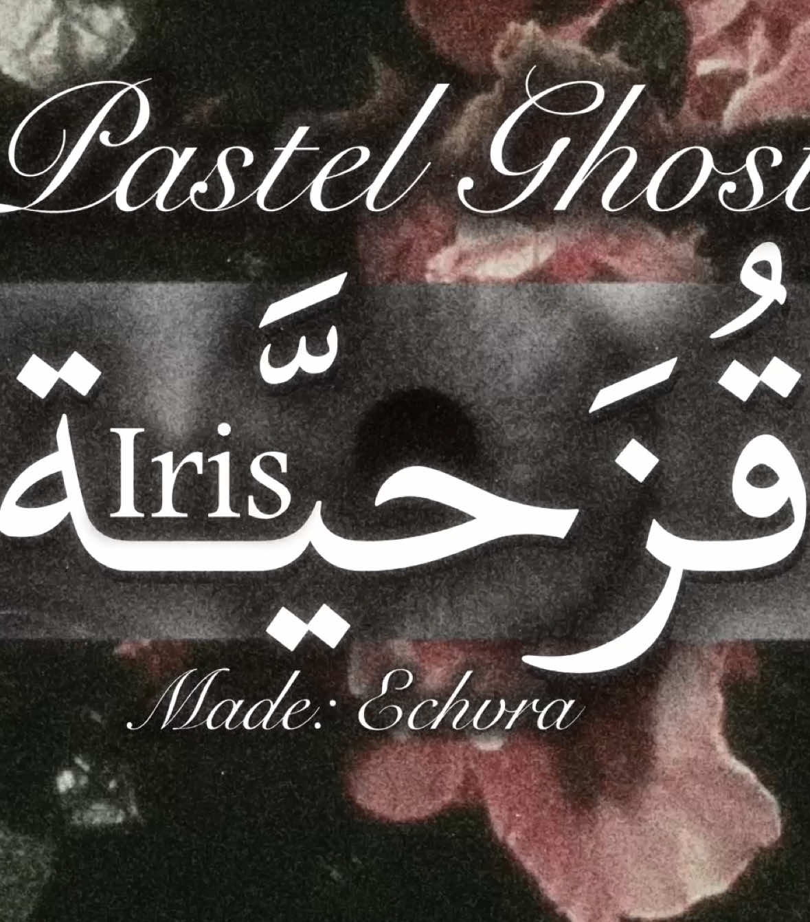 #pastelghost♡ #pastelghost #pastelghostedit #pastelghostiris #pastelghosteditaudio #iris #aesthetic #pastelghosteditaudio #pastelghostedits #roses #flowers