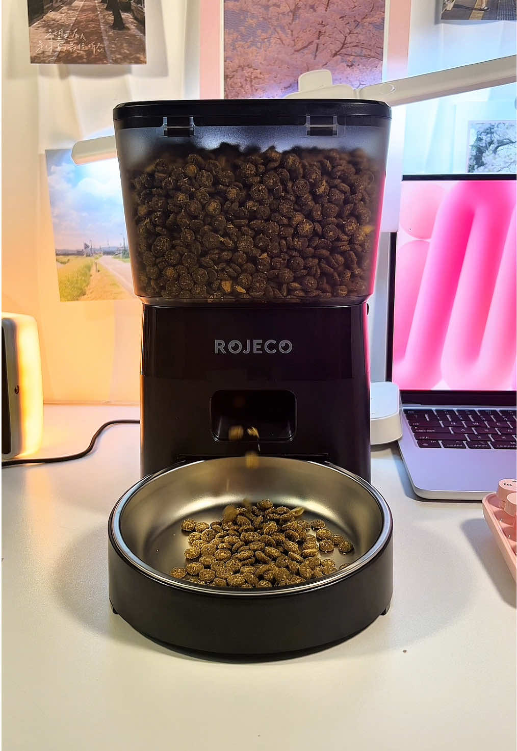 Rojeco wifi A-Z  Máy nhả hạt tự động Rojeco máy cho ăn hạt rojeco #maychoanhat #maynhahattudong #maynhahatchomeo #rojecopetfeeder #rojeco #nuoimeothongminh #meo 