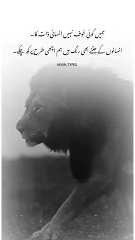 #moon_types #lionking #wolf @☆° 𝙈𝙊𝙊𝙉 °☆ 