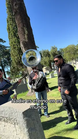 NADIE ES ETERNO 🥲 #fyp #banda #tumba 