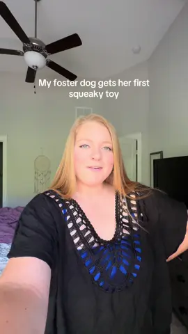 Brought the puppy right out of her 🥹  Thank you to @Simple Dog Café for sending over Star’s first toys!  #fosterdog #fostersdogs #fosteringsaveslives #shelterdogs #rescuedog #adoptorshopresponsibly #adopt #rescuedogsoftiktok #bullybreed 
