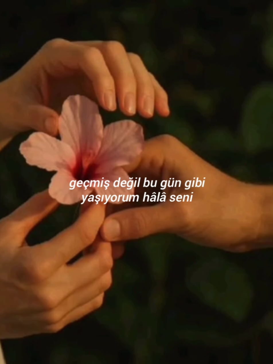 sen benim şarkılarımsın #fy#lyrics#cemadrian#senbenimşarkılarımsın 