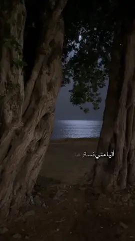 #CapCut #fypシ゚ #اكسبلور #fyppppppppppppppppppppppp #اكسبلورexplore #السعودية #السعودية #شيلات 