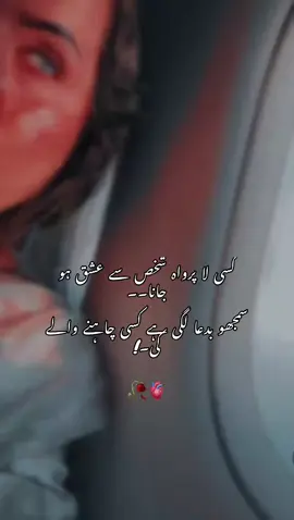 #alhumdulillah #memories #trending #foryoupage #viral #fypシ #fypシ #fyp #unfrezzmyaccount #foryou #viral_video 