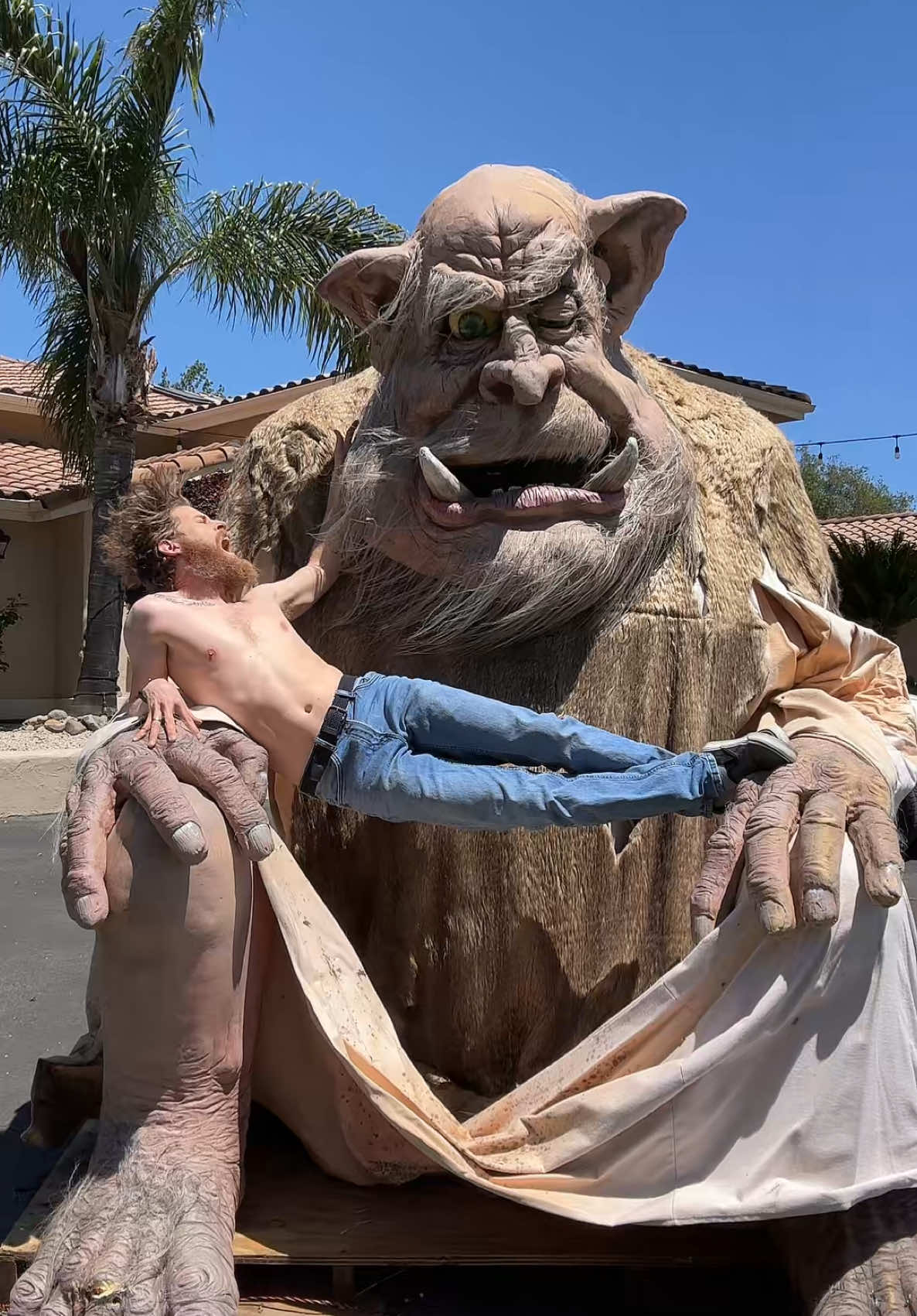 Throwback to the time I found 2 active beehives inside a trolls ear