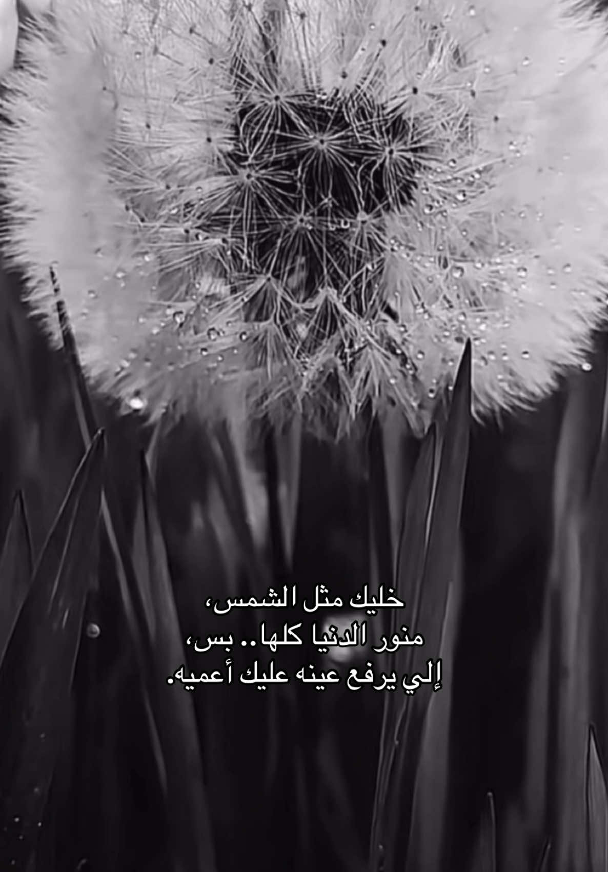 متخيل انت 🤫 #viral #fyp #تصميمي #تصميم_فيديوهات🎶🎤🎬 #منشن_للي_تحبه 