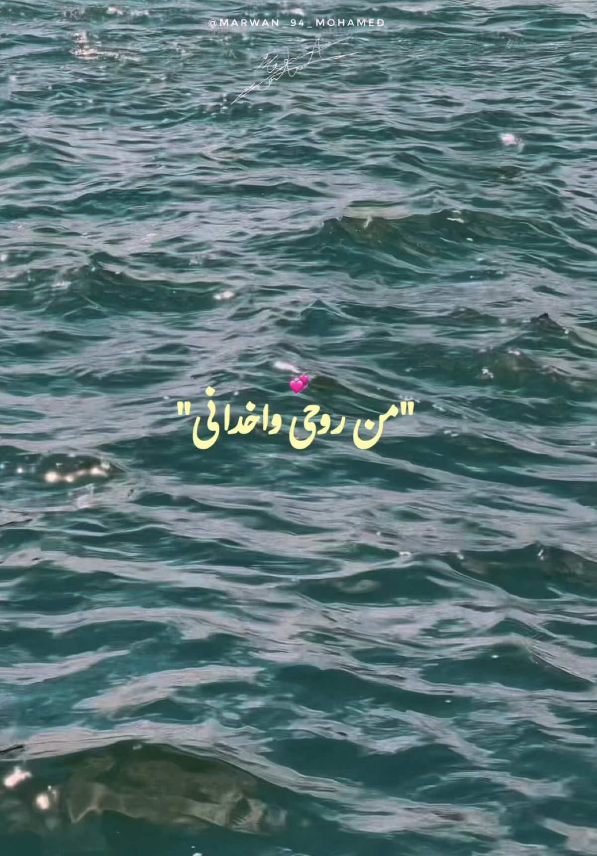 من غير اي كلام فاهماني..🌺♥️ #ساموزين #ساموزين😘 #دي_حبيبتي #samozaen #سامو_زين #اسكندريه #اسكندرية #بور_سعيد #عمرو_دياب #الهضبه #عمرودياب #الهضبة #الهضبه_عمرو_دياب #اغاني_حب #اغاني_رومانسية @Samo Zaen 