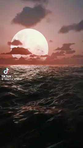 #creatorsearchinsights 