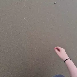 I LOVE YOHUUU . . . #beach #Wales #Wale #Wales #sand #YOU #you #you #iloveyou #ily #ilysm #sandy #beachvibes #foryoupage #foryourpage #fyp #dontflop #trend #note #sea #write #messages #message 