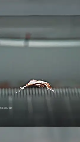 #football #footballtiktok #fifa #fyp #foryoupage #fypシ #fypシ゚viral #fypシ゚viral #foryourpage #fy #Love #storytime #couple #lastorder #PakistaniDrama  #ONLYKINGSHOAIB  #DramaZone  #OfficialChannel  #PakistaniTikTok  #ForYou  #ViralVideo  #TikTokPakistanOfficial  #Only_King_Shoaib00  #ExposePoint #Team7Bro  #FYP #RelatableContent  #DramaticStory  #EmotionalScene  #ViralPakistaniDrama  #GrowTogether  #exposepoint  #team7bro  #foryoupage #foryou  #account #grow  #video #Viral #PakistaniDrama  #ONLYKINGSHOAIB  #DramaZone  #OfficialChannel  #PakistaniTikTok  #ForYou  #ViralVideo  #TikTokPakistanOfficial  #Only_King_Shoaib00  #ExposePoint #Team7Bro  #FYP #RelatableContent  #DramaticStory  #EmotionalScene  #ViralPakistaniDrama  #GrowTogether  #exposepoint  #team7bro  #foryoupage #foryou  #account #grow  #video  #Viral  #PakistaniDrama  #ONLYKINGSHOAIB  #DramaZone  #OfficialChannel  #PakistaniTikTok  #ForYou  #ViralVideo  #TikTokPakistanOfficial  #Only_King_Shoaib00  #ExposePoint #Team7Bro  #FYP #RelatableContent  #DramaticStory  #EmotionalScene  #ViralPakistaniDrama  #GrowTogether  #exposepoint  #team7bro  #foryoupage #foryou  #account #grow  #video #viral @sohailahmedgh6 @ONLY KING SHOAIB @Cristian Oliveras @WorldStar Hip Hop @HollywoodLife @LLOUD @Lolly @Foot Locker EU @FootballJOE @Cricket Aus