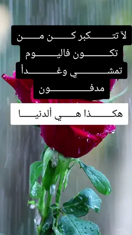 #creatorsearchinsights #🌹🌹🌹 بلدي السودان ###🇸🇩🌹🇸🇩🌹🇸🇩🌹🇸🇩🌹🇸🇩🌹🇸🇩🌹🇸🇩 