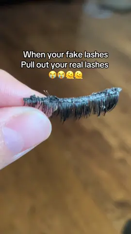 So rude 🤣 #fakelashes #lashesoftiktok #lashes 