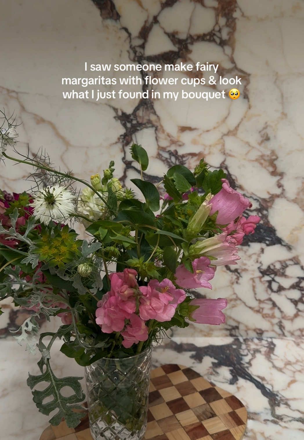 Okay but now I might need to try to use these campanulas as little flower cups 🌸🧚 #fairycups #flowercups #fairyparty 