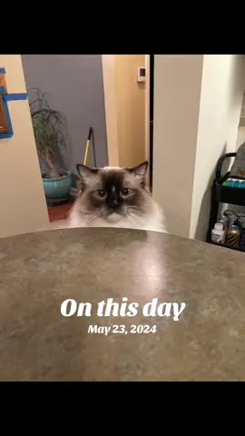 #onthisday 
