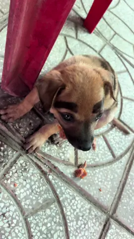 Con moạ nó đứa nào làm nó ra như thế này 🤣.