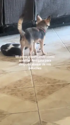 Tonight is the night… 