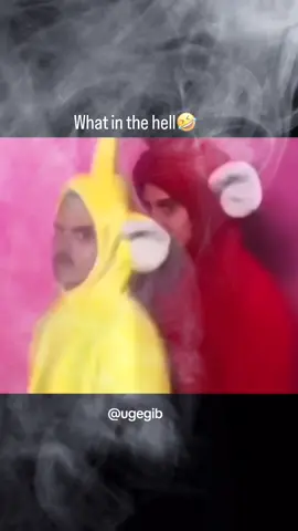 that's one of the funniest things I've ever seen 