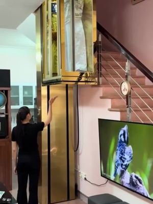 About this topic : Compact Home Lifts