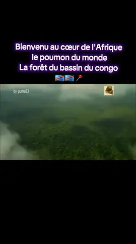visit congo#visit #matadi #visibilité #pourtoi #lumbubashi🇨🇩 #tourism #rdcongo🇨🇩 #ouganda🇺🇬 #tanzaniatiktok #rwandatiktok🇷🇼 #burundi 