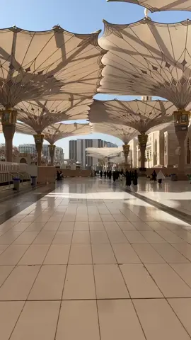 #اكسبلور #المدينه المنوره #قباء# المسجد النبوي#المدينة المنورة.. طمأنينة تسكن القلب ، وراحة تمتد للروح. هواءها دعاء، وشوارعها ذِكر، وكل زاوية فيها تحكي قصة حب لا تنتهي ، لا شيء يشبهها ، ولا شيء يعوّضها. 