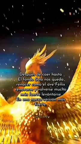 #frases_de_todo #❤️ #🌍 #2025 #reflexion #motivation #frasesmotivadoras #paratiiiiiiiiiiiiiiiiiiiiiiiiiiiiiii #mexico🇲🇽 #argentina🇦🇷 #ecuador🇪🇨 #peru🇵🇪 #chlile🇨🇱 #colombia #venezuela #salvador #LIVEInteraction #PaidPartnership #LIVEIncentiveProgram 