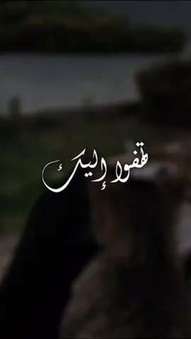 #نشيد : تهفو إليك جميل كل نشيدة - أنشاد :خولان الصنعاني#مشاهدات_تيك_توك 