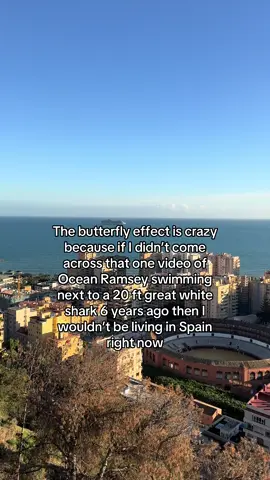 She honestly changed the trajectory of my life #butterflyeffect #fiu #travel #traveltok 