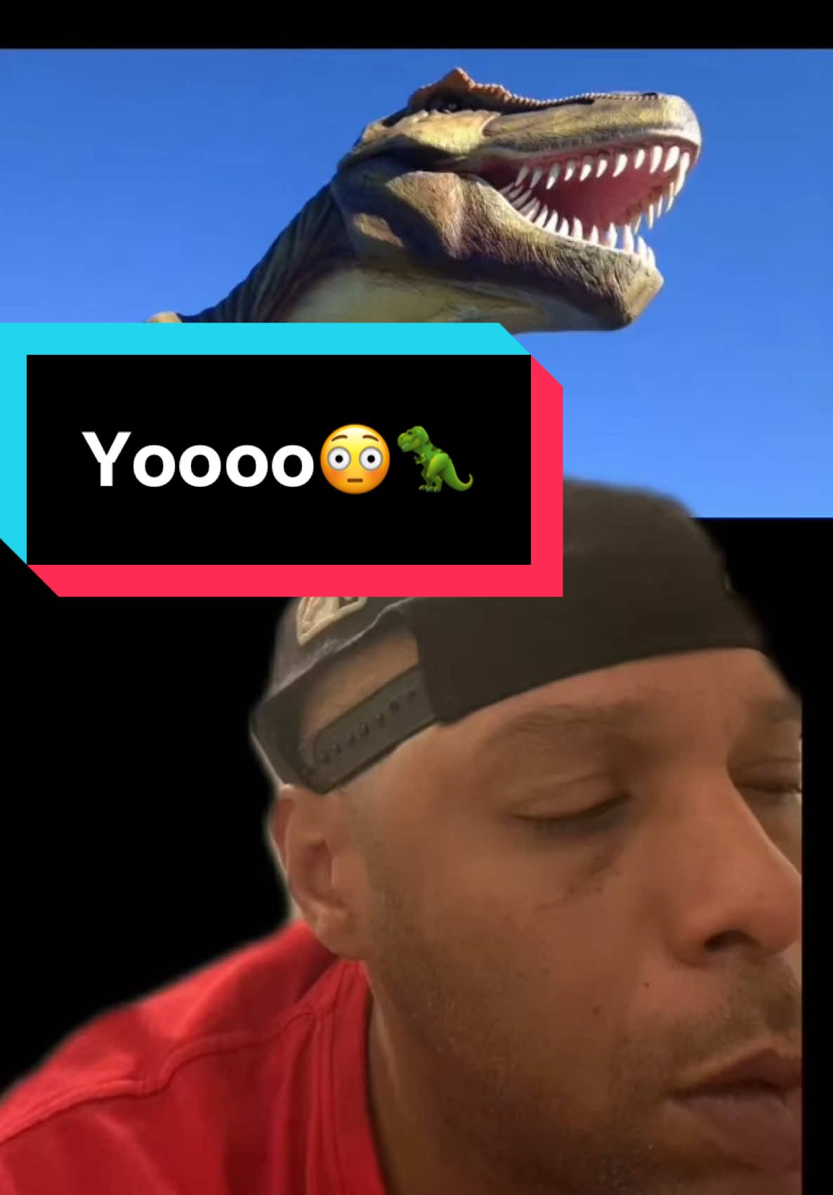 #Googleit and #Comeback 😭 #dinosaur #fypシ #foryoupage #relatable #viral #followdewaynedunn #dewaynedunnbackup 