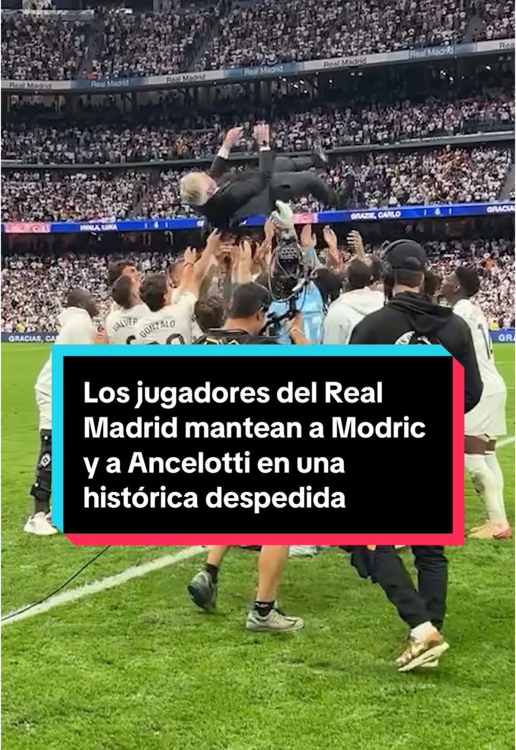 👏 El bonito momento en el que mantean a Modric y Ancelotti. El entrenador (15) y el jugador (28) con más títulos en la historia del Real Madrid se despidieron a la vez. Uno para dirigir a Brasil  y otro para ir al Mundial de Clubes con Xabi Alonso antes de afrontar otro reto. #viral #modric #realmadrid #ancelotti #bernabeu #lukamodric 