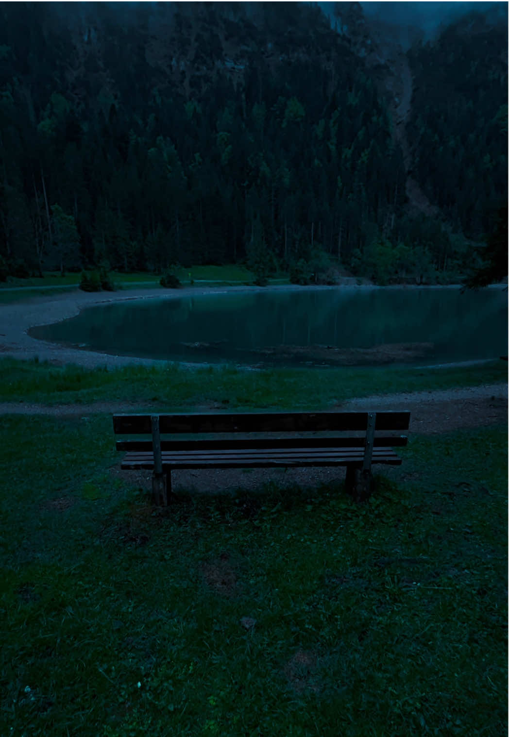 🩶🩶🩶#nature #darkaesthetic #calm #naturephotography #foryоu #aesthetic #relax 