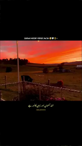 Surah Noor Verse 34/36 🥹🤍🌻~#maha_aesthetic #naat_aesthatic #aestheticvibes #peotrystatus #peotry_lover #foryou