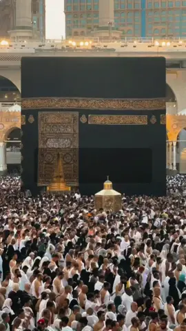 لبيك اللهم مالبيك ان الحمد والنعمة لك والملك لاشريك لك لك لبيك 🤲 #الحج #مكة #عرفة #لبيك_اللهم_لبيك_لبيك_لا_شريك_لك #صلي_علي_النبي 