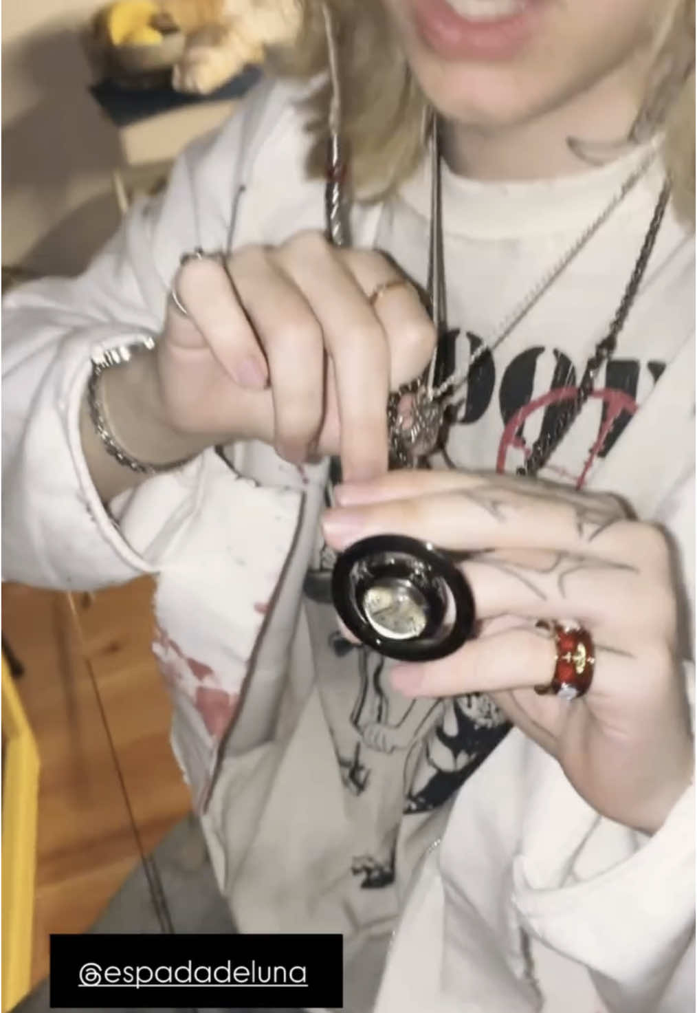 un perro vestiria asi fosho