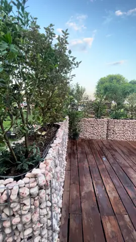 #tenutaborgatomorelli #spadicoppiaideeviaggi #amici #collieuganei #relax #cicloturismo🚴‍♂️ 