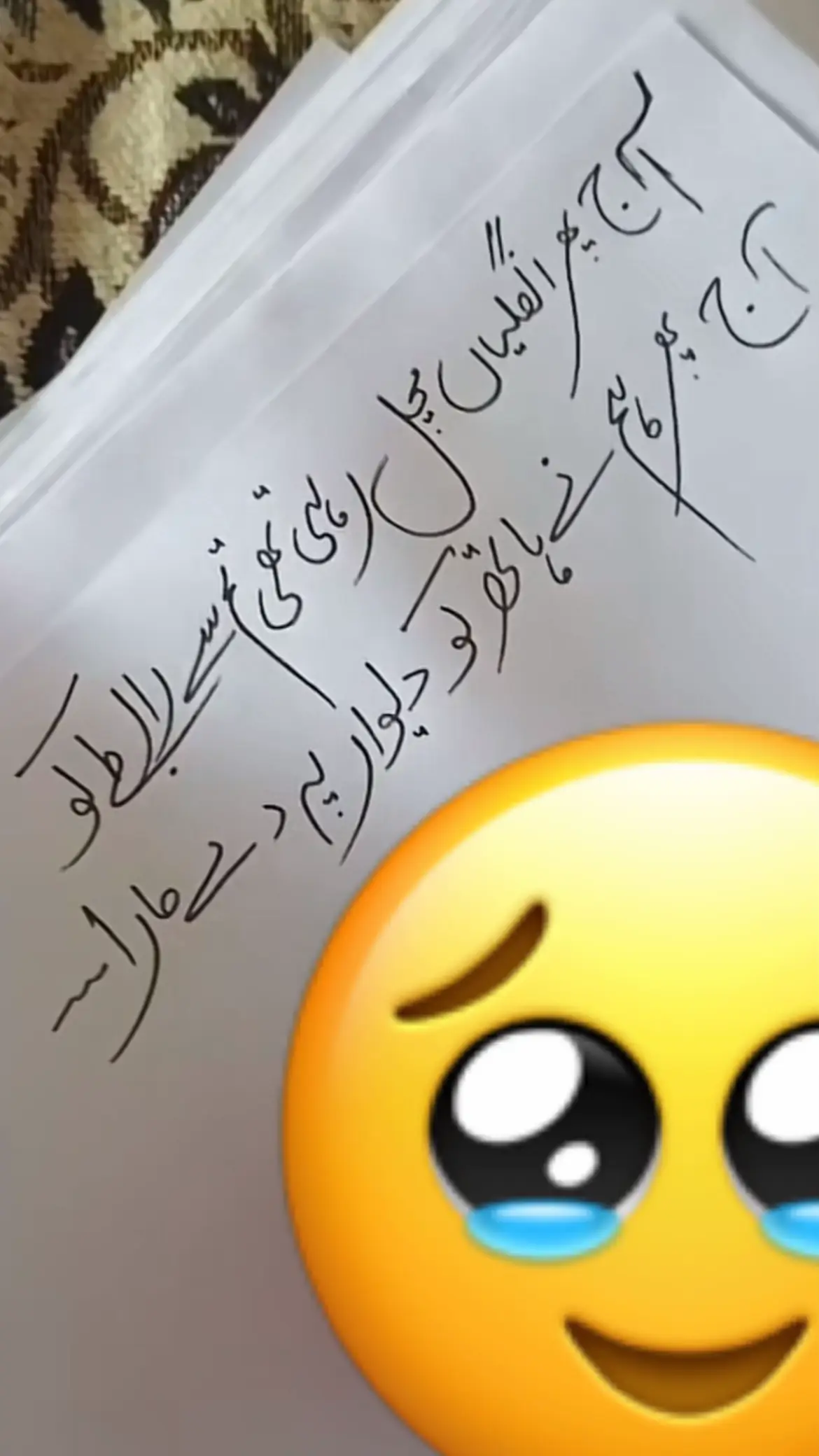#standwithkashmir #freepalestine🇵🇸 