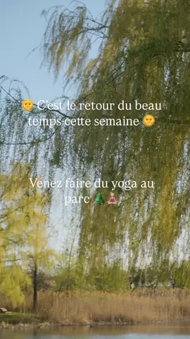 📍MONTRÉAL  🧘🏼‍♀️🌲 YOGA AU PARC RSV ICI: https://www.self-careclub.ca/yoga-parc-jarry #montreal #yoga #yogadiscovino #yogaauparc #fyp 