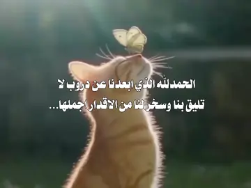 #متابعه_لايك_فولو_تعليق_اكسبلور #مشاهير_تيك_توك #ترند_جديد ##متابعه_لايك_فولو_تعليق_اكسبلور #متابعه_لايك_فولو_تعليق_اكسبلور #متابعه_لايك_فولو_تعليق_اكسبلور #متابعه_لايك_فولو_تعليق_اكسبلور #متابعه_لايك_فولو_تعليق_اكسبلور #متابعه_لايك_فولو_تعليق_اكسبلور #متابعه_لايك_فولو_تعليق_اكسبلور #مشاهير_تيك_توك #ترند_جديد #متابعه_لايك_فولو_تعليق_اكسبلور #متابعه_لايك_فولو_تعليق_اكسبلور 