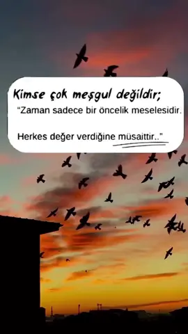 🕊️🕊️🕊️