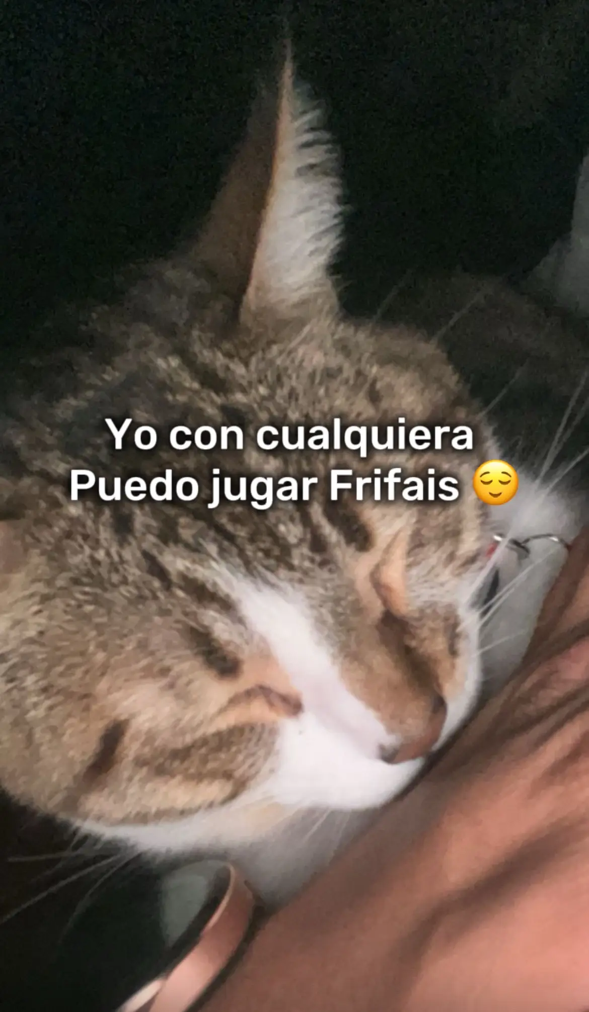 Sand Te Amo @Jules Kounde #nicaragua🇳🇮 #soy_nica_505 #contenido #freefire 