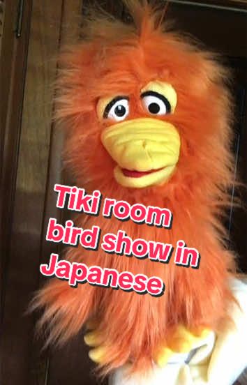 #birdpuppet #bird #talent #puppeteer #puppetsoftiktok #viraltiktok #viralllllll #happysaturday #react 