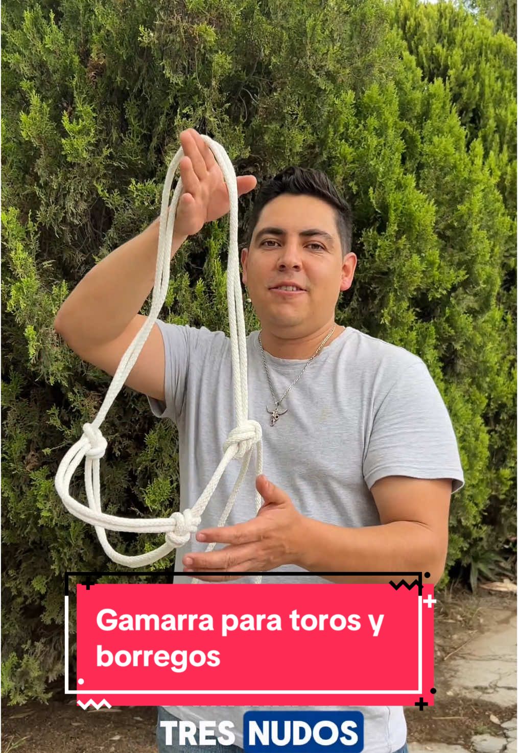 Excelente Gamarra para tus vacas, toros y borregos. #fyp #videoviral 