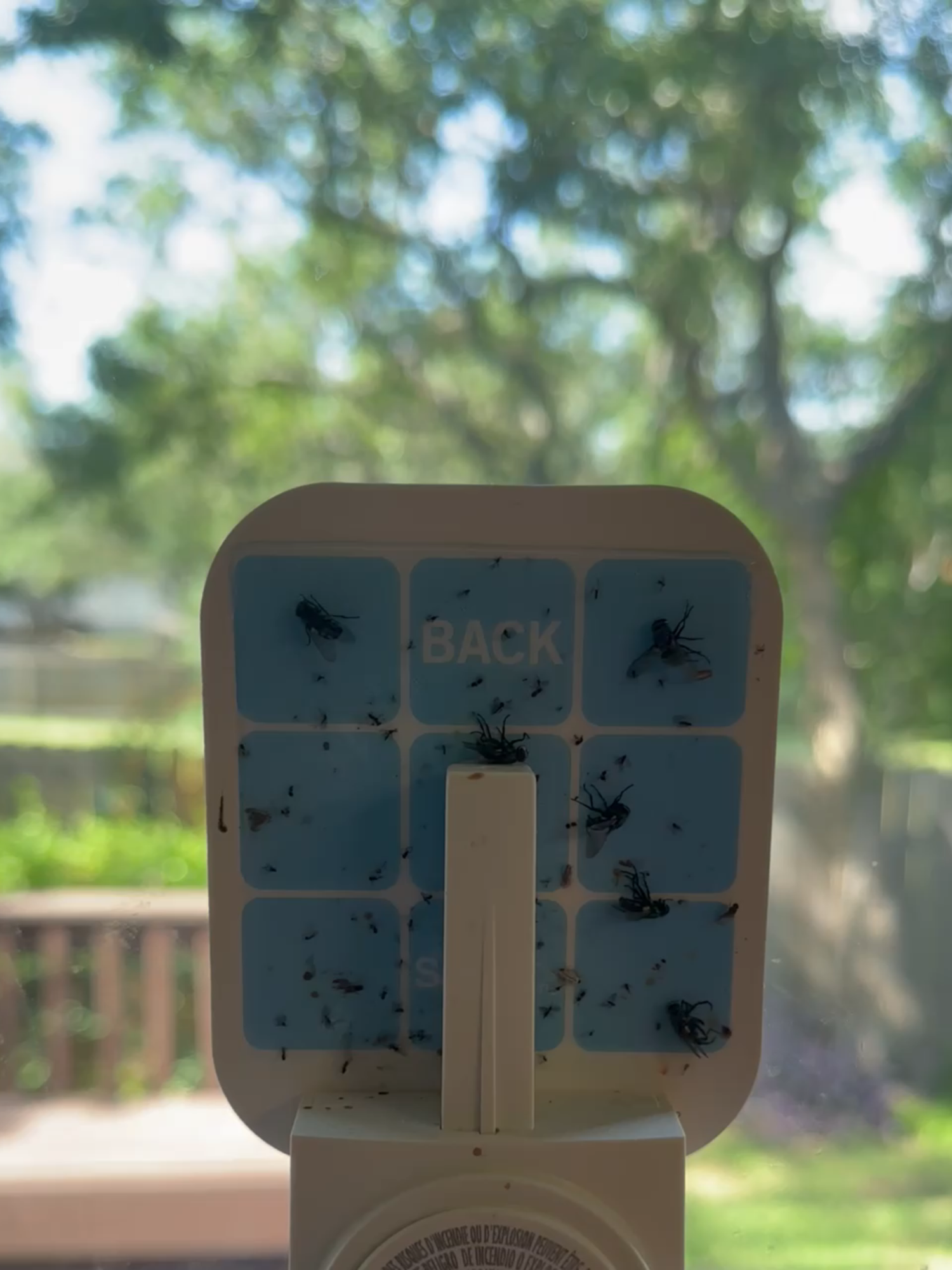 🪰✨ This thing is a GAME CHANGER. No more buzzing, no more chasing flies with a towel 🙄 Just plug in the Safer Home Indoor Fly Trap (https://amzn.to/4k9J07g), and let it do the dirty work 💪 Within 24 hours — fruit flies, gnats, and little invaders? GONE. 🌿 No harsh smells. 🕯️ No zapping sounds. 🧼 Just clean, quiet, EFFECTIVE. Perfect for kitchens, bathrooms, or anywhere bugs sneak in. And the best part? It actually looks sleek — no more ugly traps sticking out. ➡️ TikTok made me try it… and now I’m hooked. Trust me — this is your summer lifesaver. ---->>>>> https://amzn.to/4k9J07g #TikTokMadeMeBuyIt #FlyTrap #BugFreeHome #AmazonFinds #HomeHacks #SaferHome #CleanLiving #ByeBugs #FruitFlyTrap #GnatTrap #ViralAmazonFinds #HomeEssentials