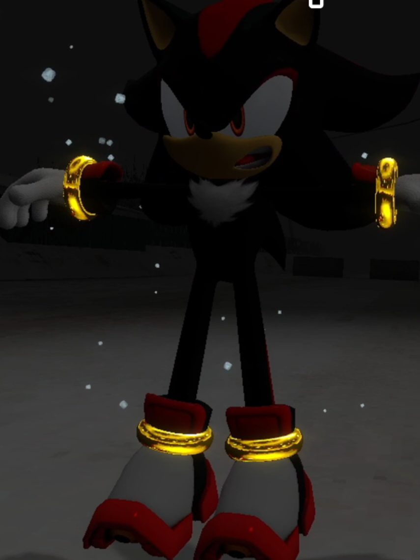 Зато побегали чуть чуть @Блейс @Шедоу  #sonicthehedgehog #sonic #fyr #fyp #hue #xz #CreamkatheRabbit #shadow #blaze #bleis 