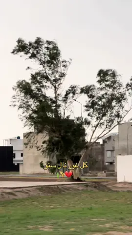 #foryou #fyp #fypシ #creatorsearchinsights 