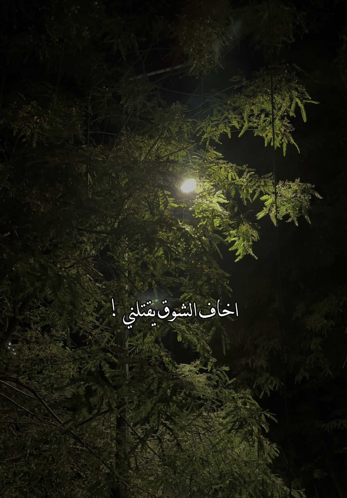 اخاف الشوق يقتلني ♥️#تصاميم_صلوح🧑‍🦯 #تصويري #explore #عبدالله_ال_فروان 