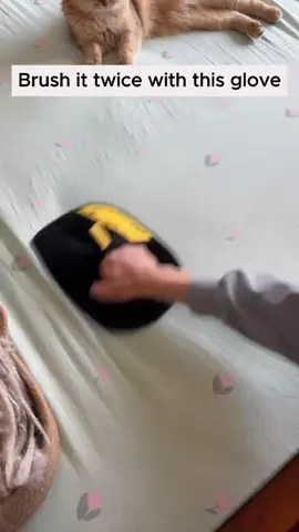Why is this so satisfying to watch #CleanTok #pethairremoval #tiktokmademebuyit #fyp #petproducts